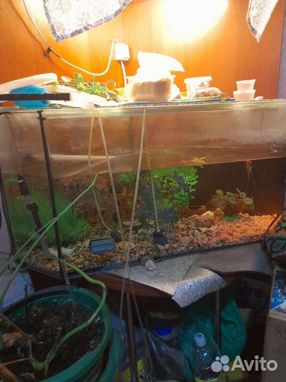 Аквариум
