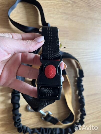 Поводок для собак