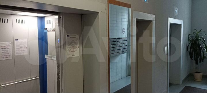 3-к. квартира, 76,5 м², 21/21 эт.