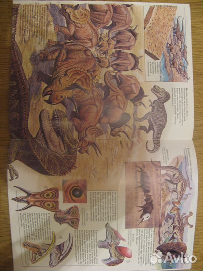 Мир животных. Динозавры