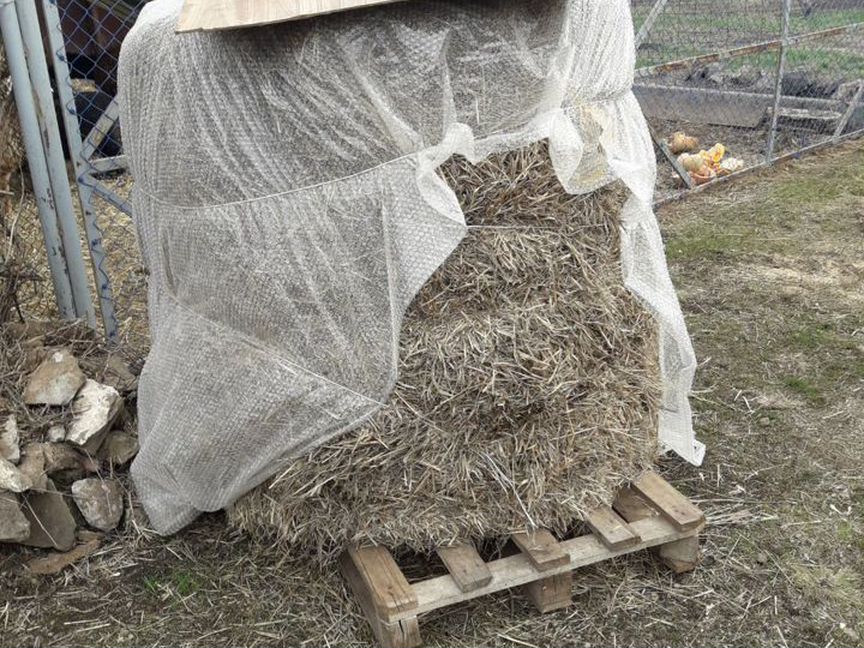 Солома в рулонах ячменная