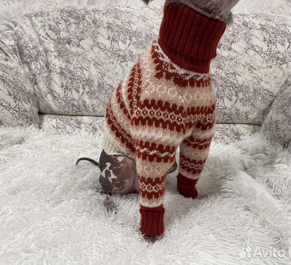 Свитер для собаки