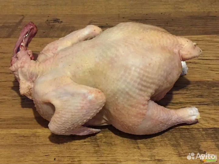 Куры бройлеры мясо