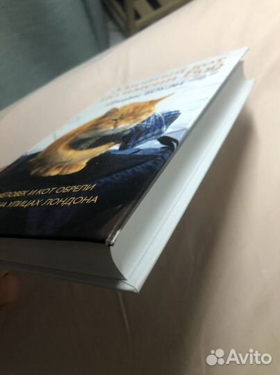 Книга Уличный кот по имени Боб