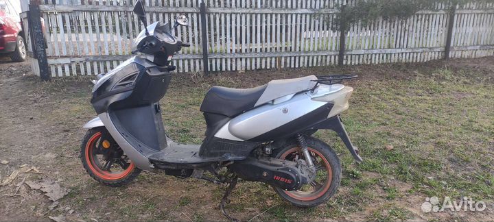 Ирбис нирвана