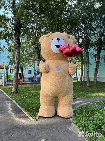 Поздравление от мишки из тик-тока