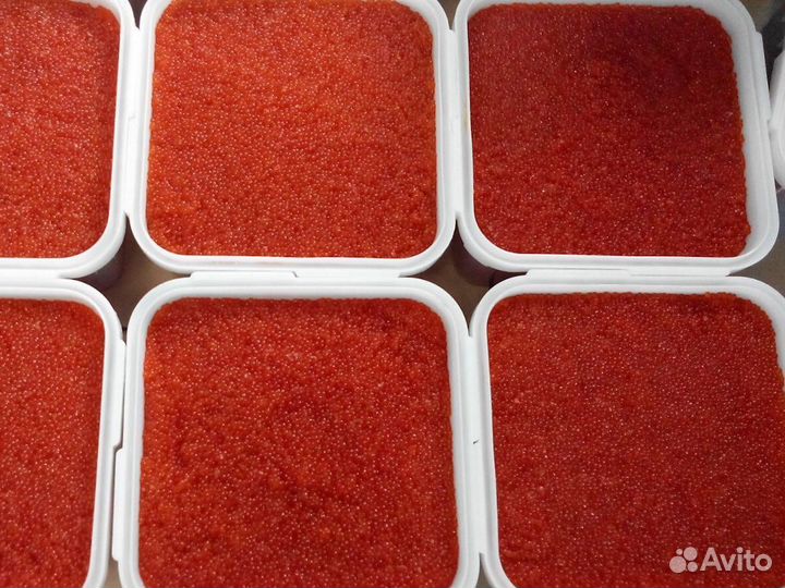 Красная икра лососевых