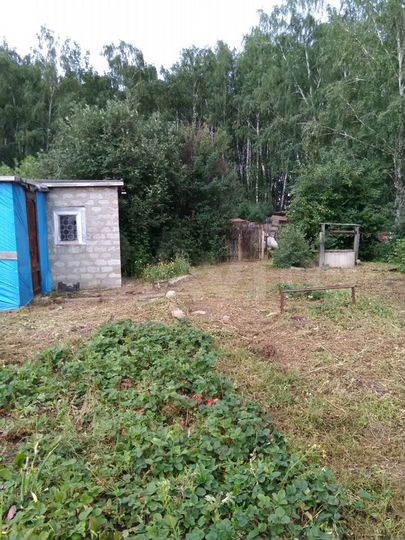 Дача 20 м² на участке 6 сот.