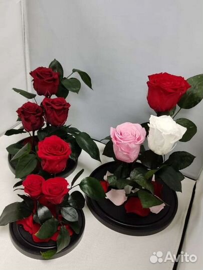 Роза в колбе оптом и в розницу