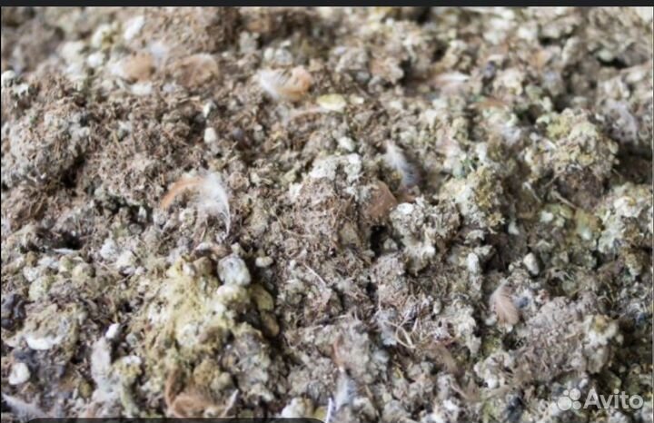 Навоз куриный самовывоз