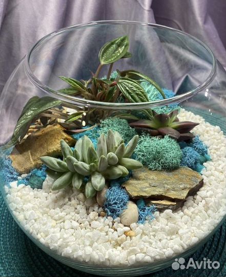 Флорариум с суккулентами