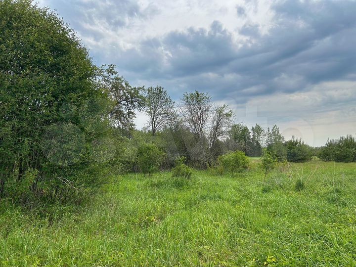 Участок 40 сот. (ИЖС)