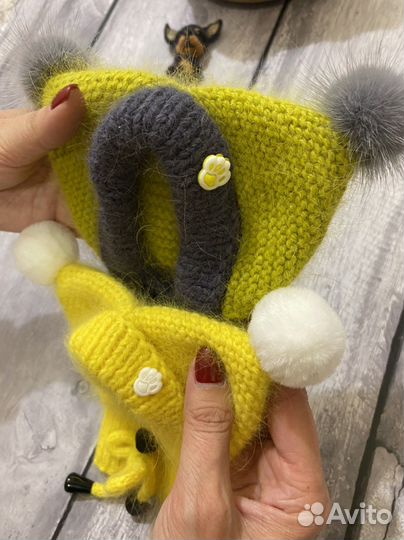 Одежда для собак