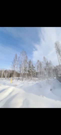 Участок 11,7 сот. (СНТ, ДНП)