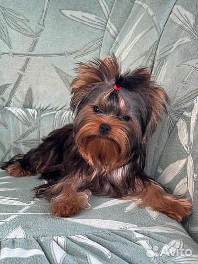 Шикарная кукольная мини-девочка