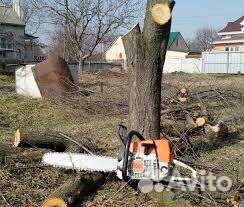 Спилим дерево