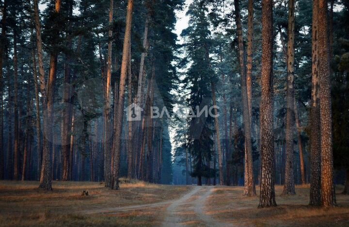 Участок 10 сот. (ИЖС)