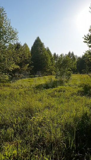 Участок 9 сот. (ИЖС)