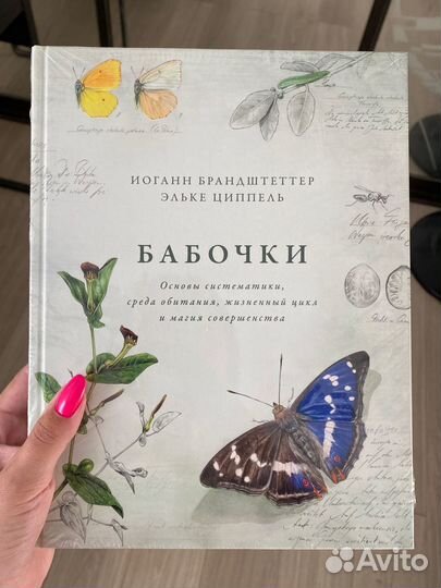 Книга Бабочки Иоганн Брандштеттер Эльке Циппель