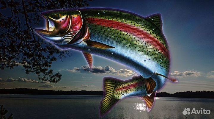 Живая радужная форель