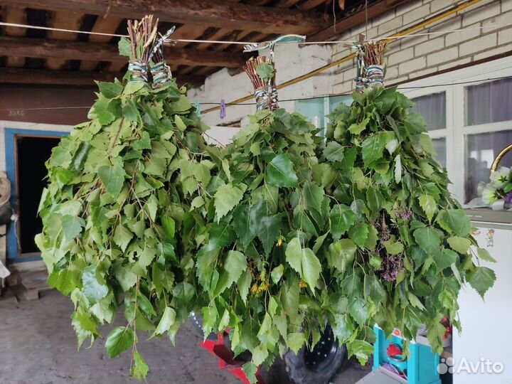 Веники для бани