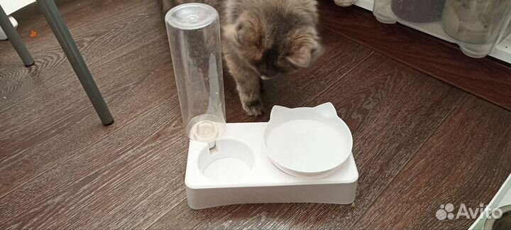 Поильник для кошек