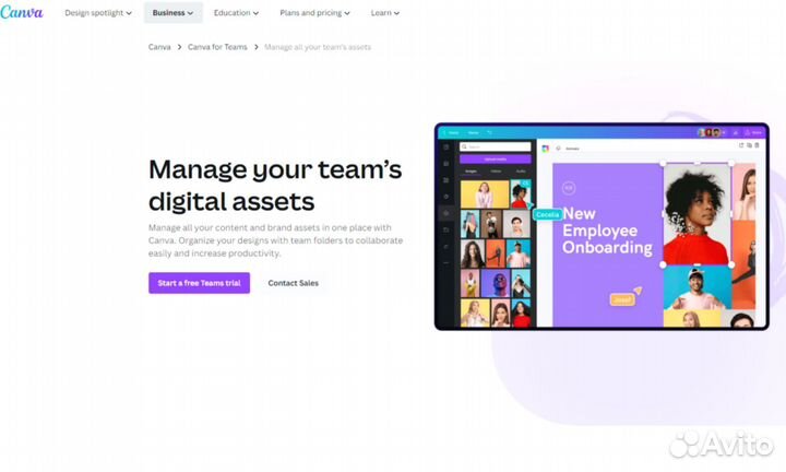 Подписка canva pro (6 месяцев)