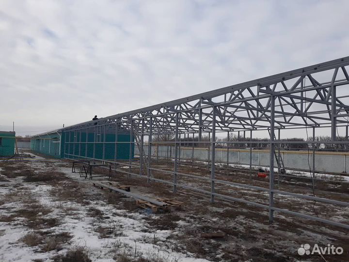 Строительство ангаров, овощехранилищ, ферм