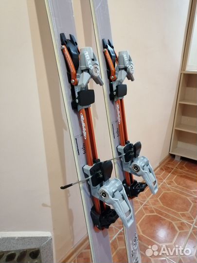 Горные лыжи