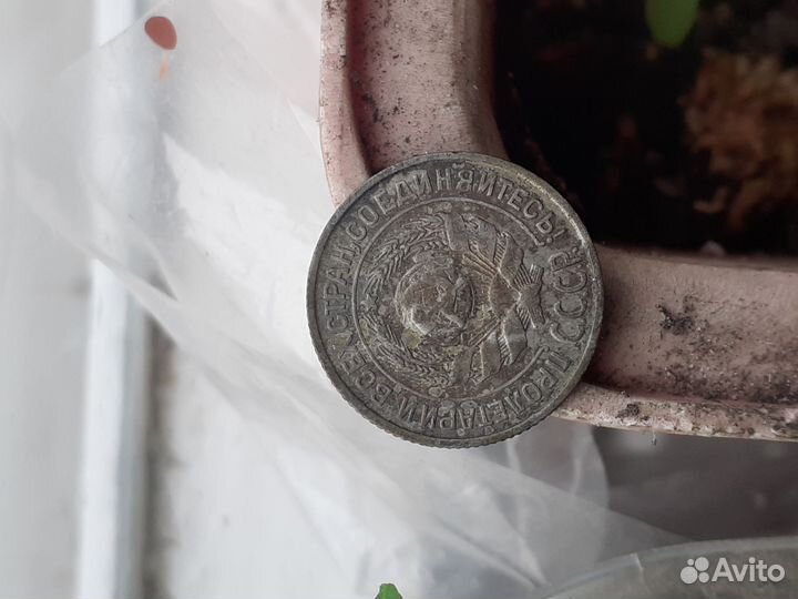10копеек 1924г