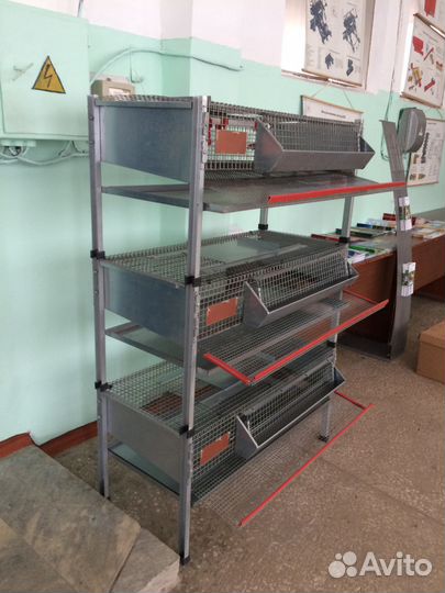 Клетки перепелиные