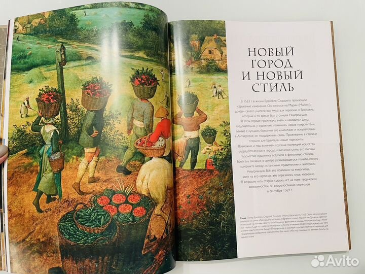 Брейгели. Жизнь и творчество