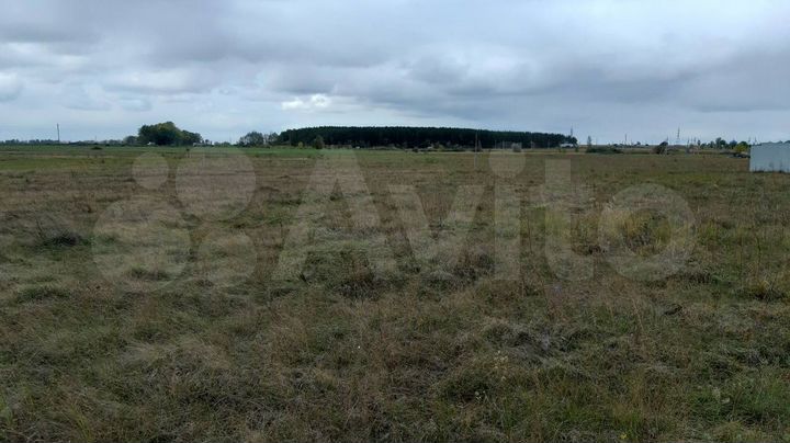 Участок 8 сот. (ИЖС)