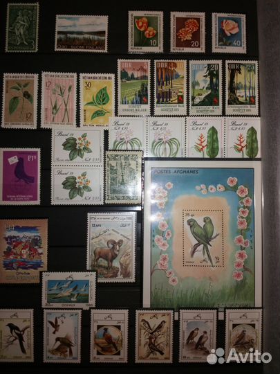 Чистые марки 