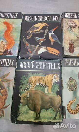 Энциклопедия Жизнь животных