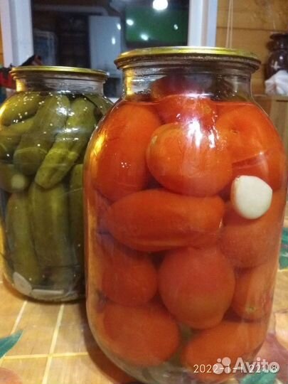 Банка солёных помидоров 2 л