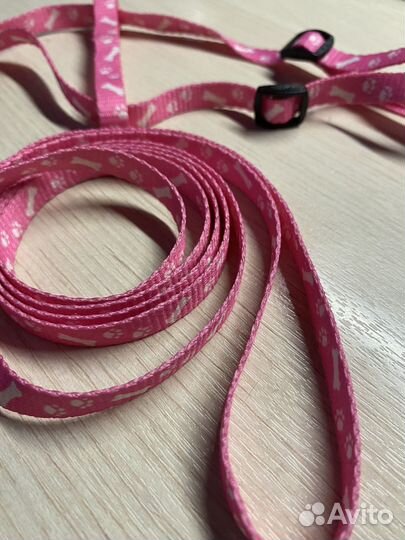 Шлейка с поводком для кошек