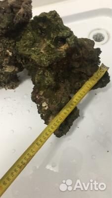 Декорации в аквариум