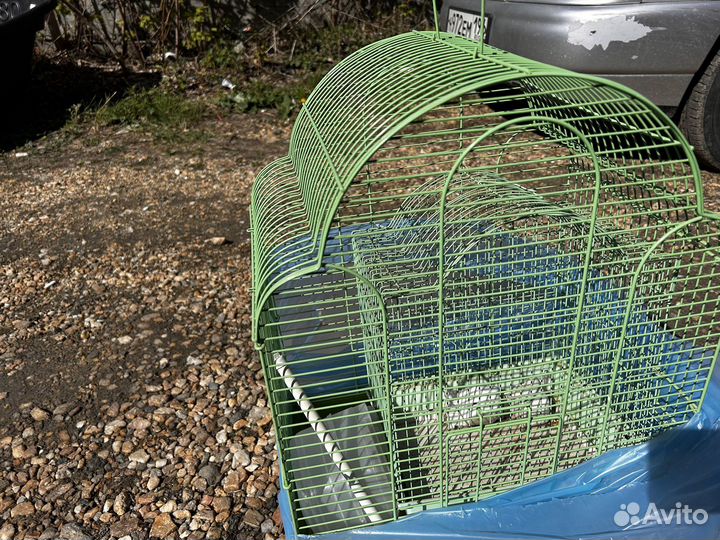 Клетка для попугая