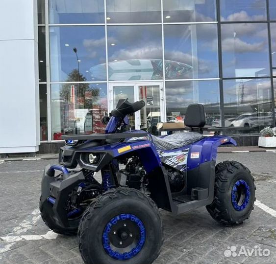 Avantis Hunter new lux