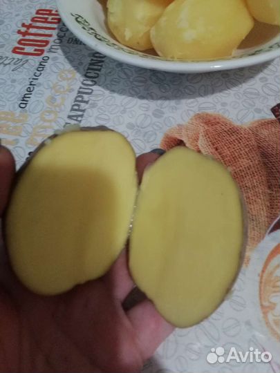Продукты питания