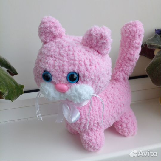 Собачки и кошечки