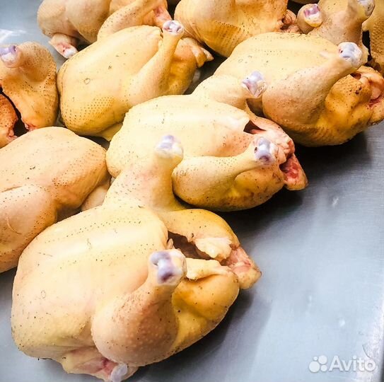 Фермерская курица натуральная из Осетии - 2,5 кг