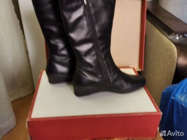 Сапоги осень весна женские новые
