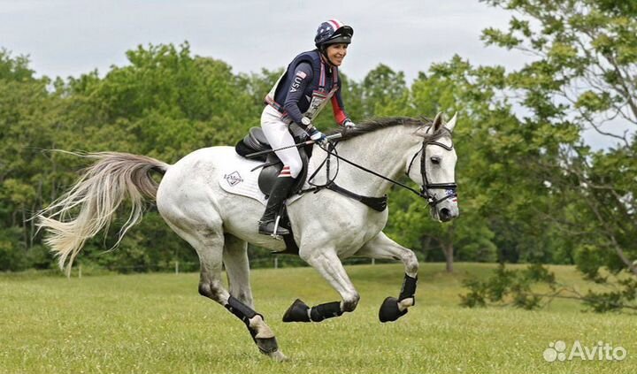 Мерин в троеборье