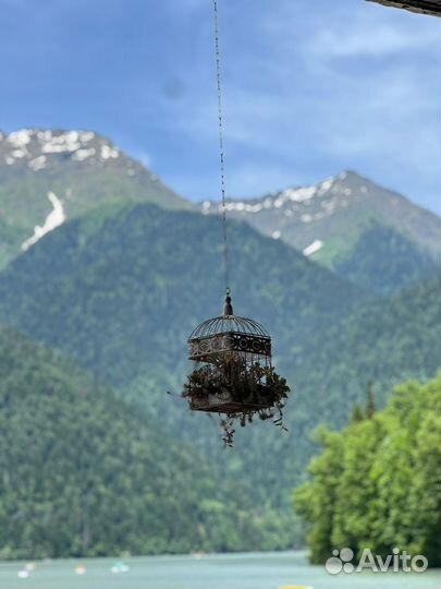 Тур в Абхазию с перелетом