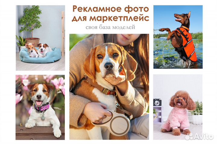 Фото товаров для животных на маркетплейсы