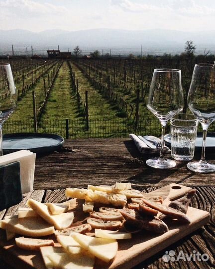 Путешествие в Грузию