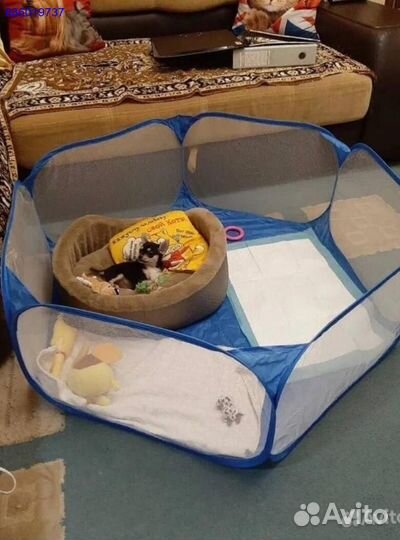 Новый вольер манеж для мелких животных