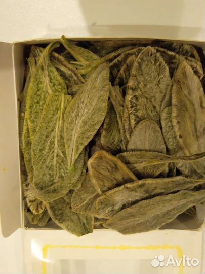 Листья стабилизированные